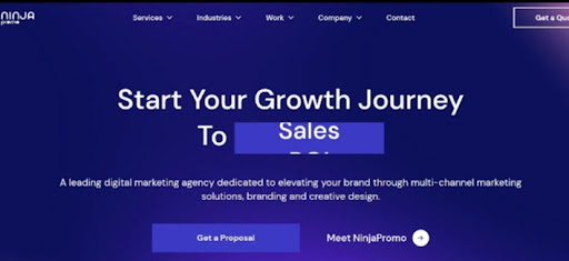 NinjaPromo marketing agency