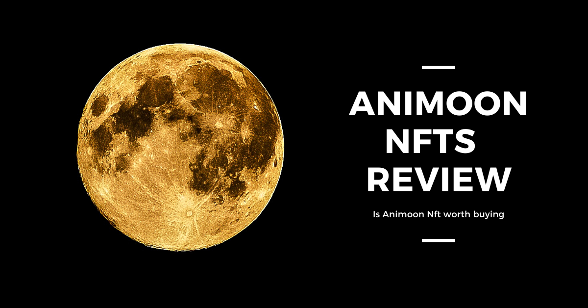 Animoon NFTs Review - All You Need To Know About The Animoon NFT