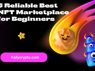 5 Reliable Best NFT Marketplace for Beginners