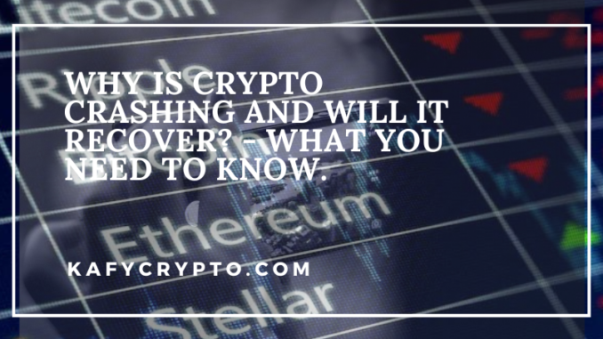 Why Is Crypto Crashing And Will It Recover? - What You Need To Know